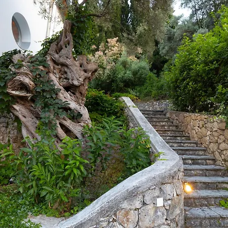 Ionian Dream Frínion