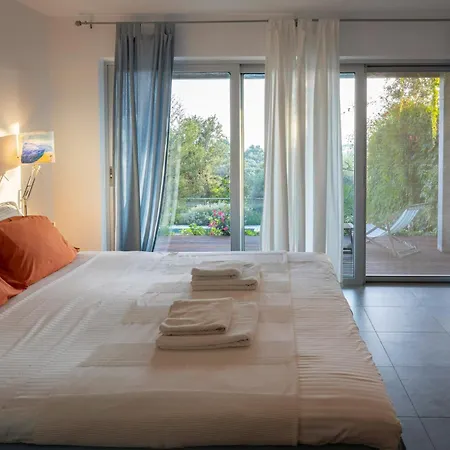 Ionian Dream Frínion