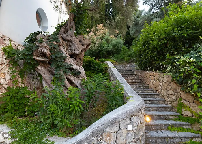 Ionian Dream Frínion